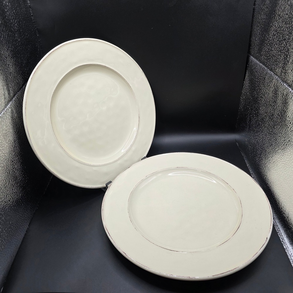 Pier 1 Imports Martillo Crème Brulee Dinner Plates Lot 2 Stoneware‎ 10.5" Rustic - Picture 3 of 8